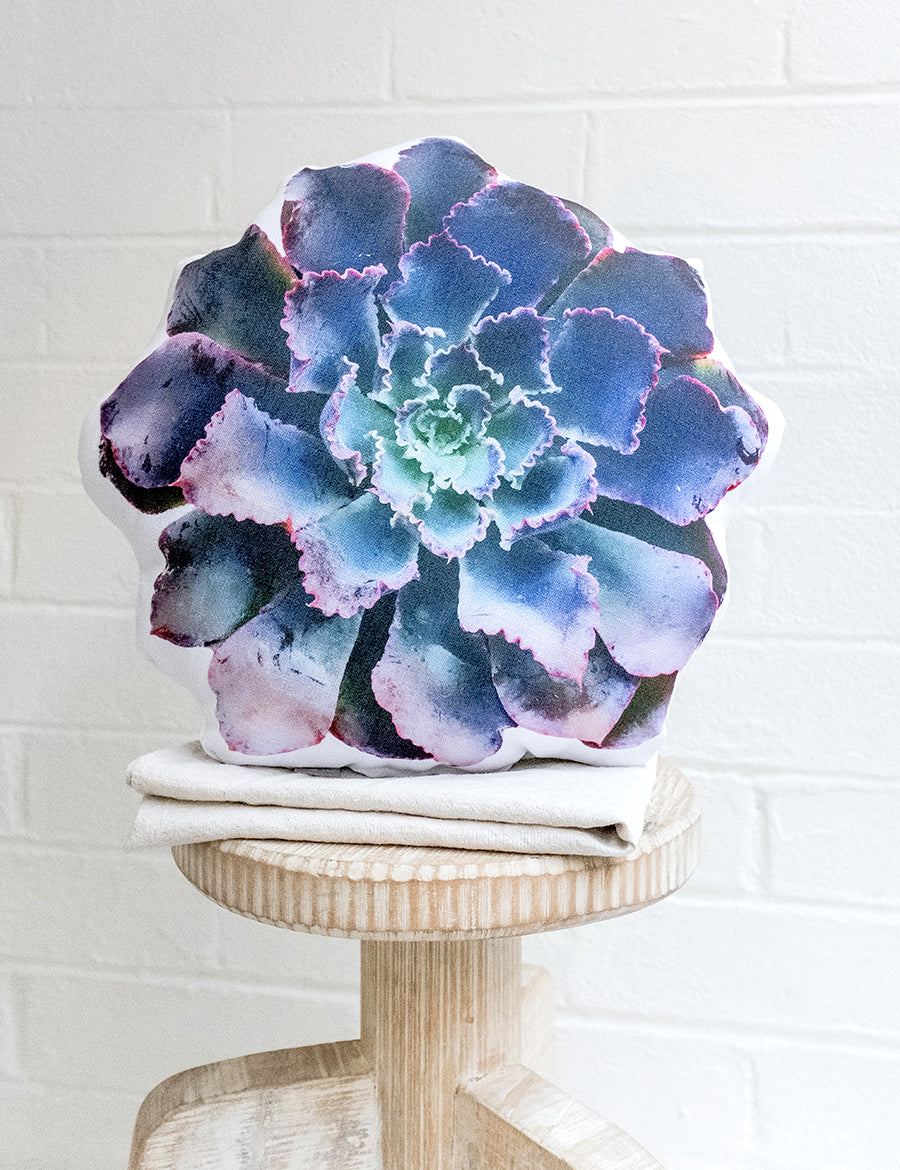 Lettuce Succulent Pillow - Neon Breakers Echeveria, College Student Gift , Boho Decor, Mother's Day Gift, Christmas Gift