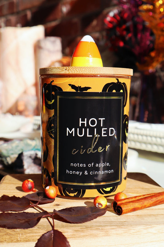 Seasonal Candle (10oz.) - Hot Mulled Cider