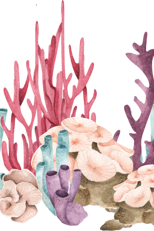 Turning Tides: How Your Daily Rituals Are Saving Our Coral Reefs