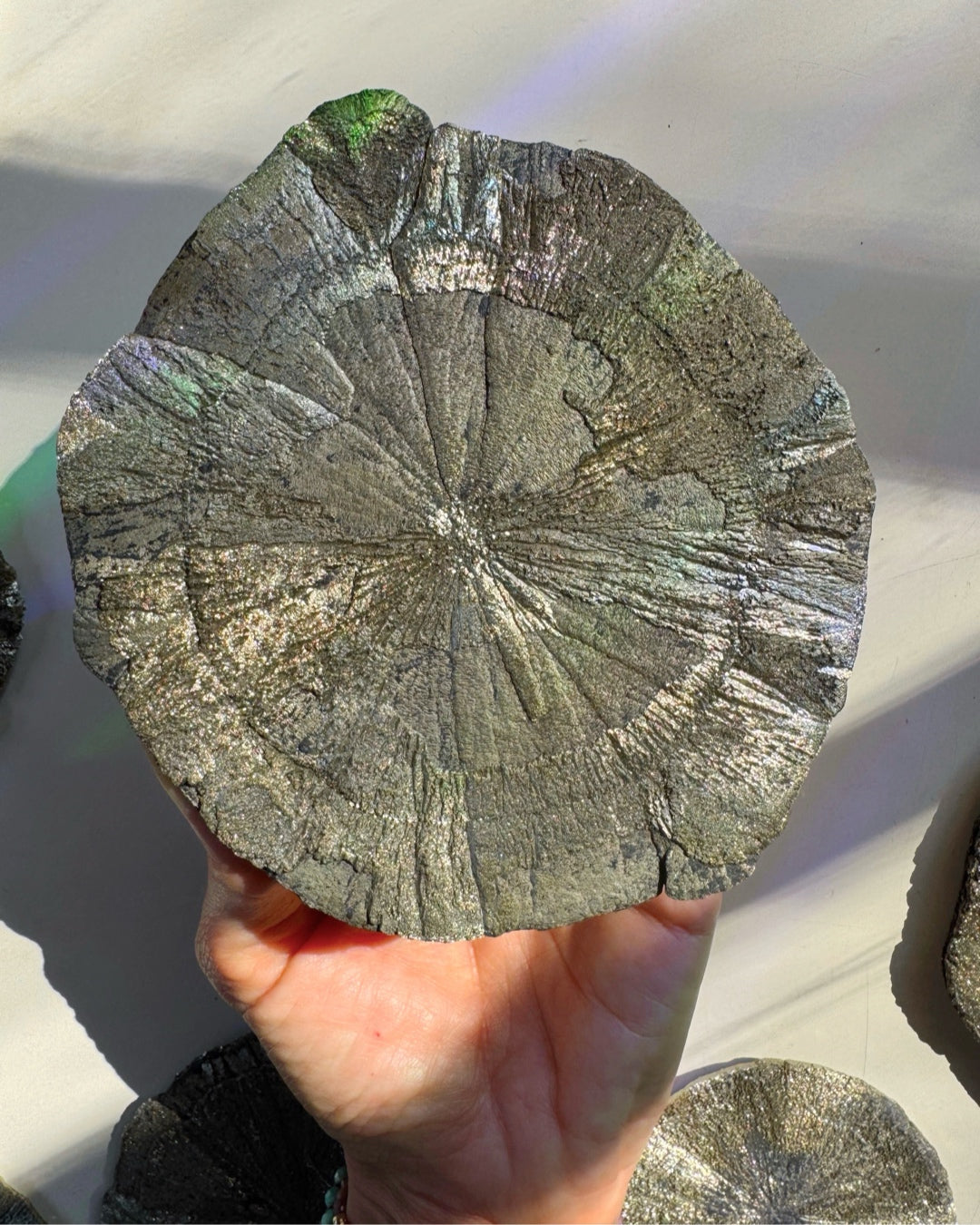 Pyrite Sun
