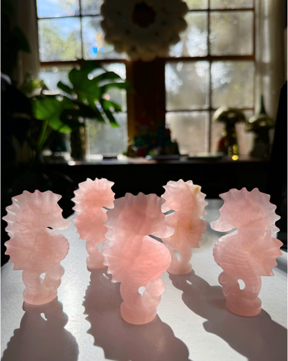 Rose Quartz Seahorse
