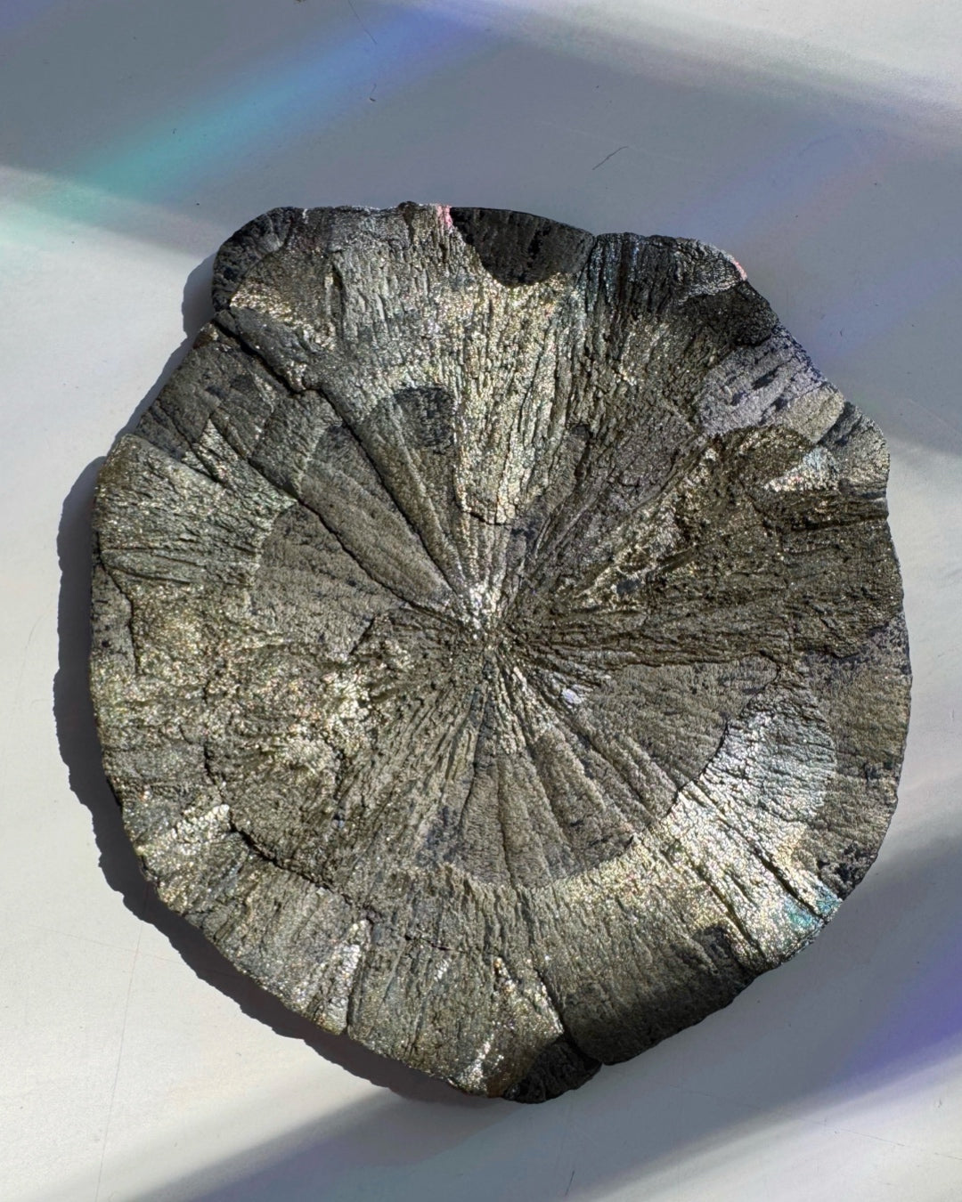 Pyrite Sun