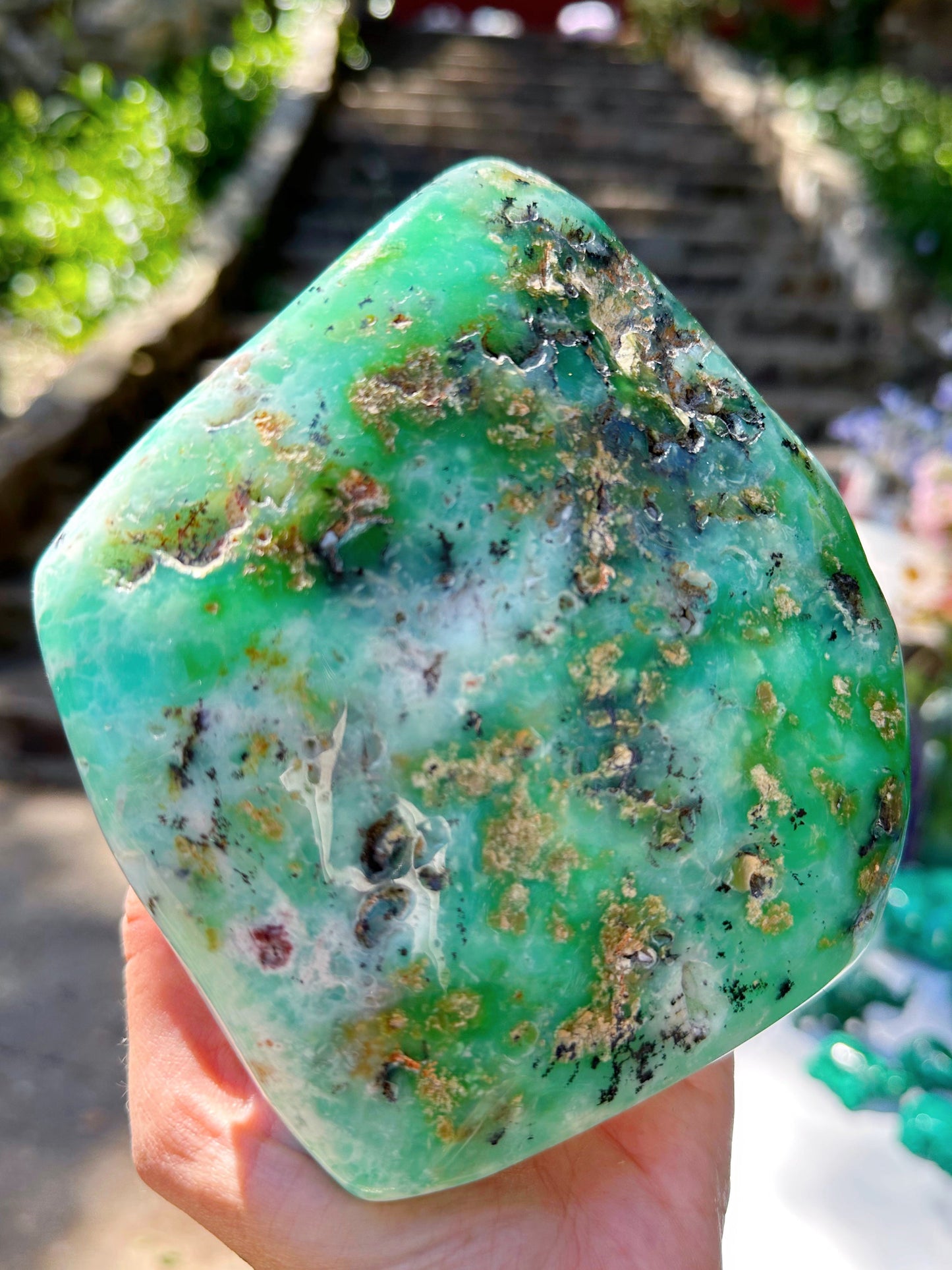 Chrysoprase Freeform - from Australian