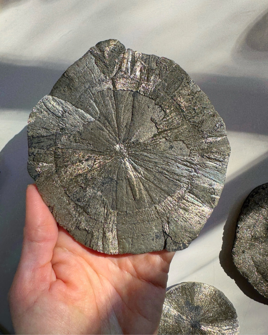 Pyrite Sun