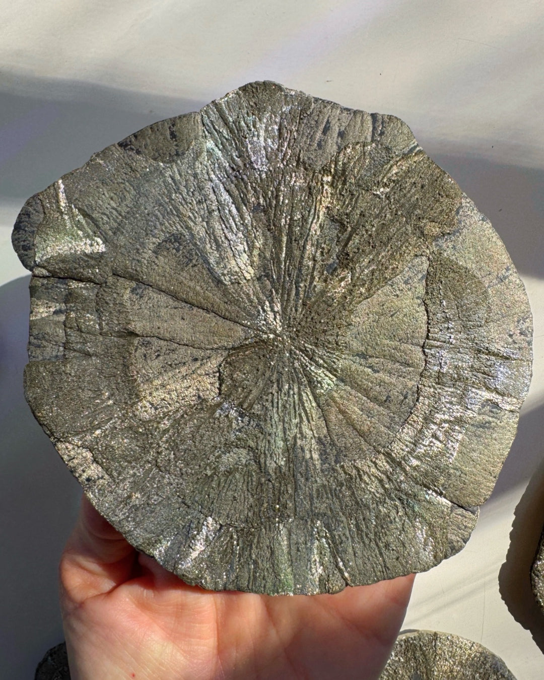 Pyrite Sun