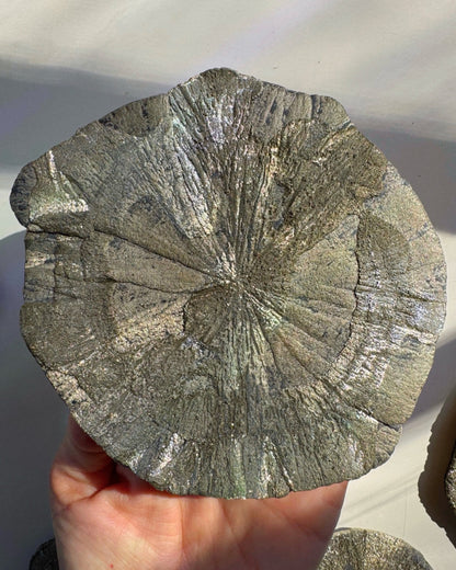Pyrite Sun