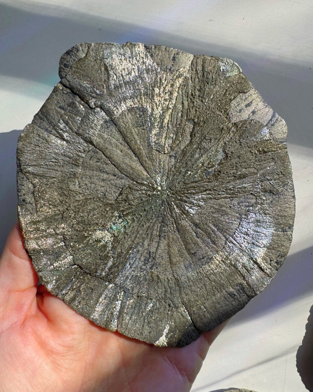 Pyrite Sun
