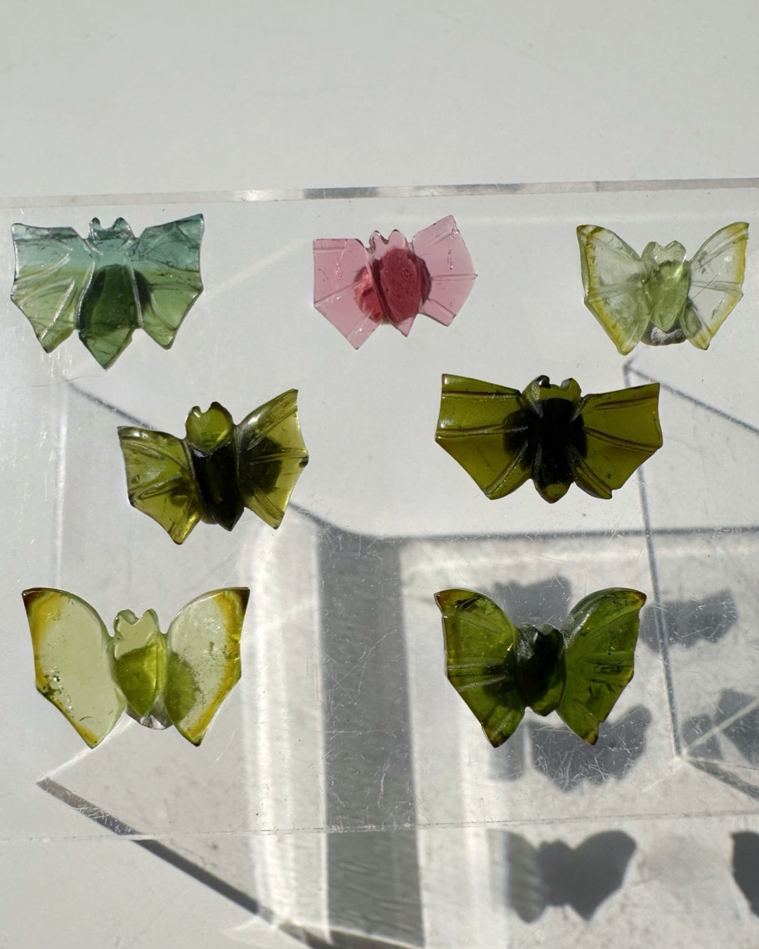 Tourmaline Bats
