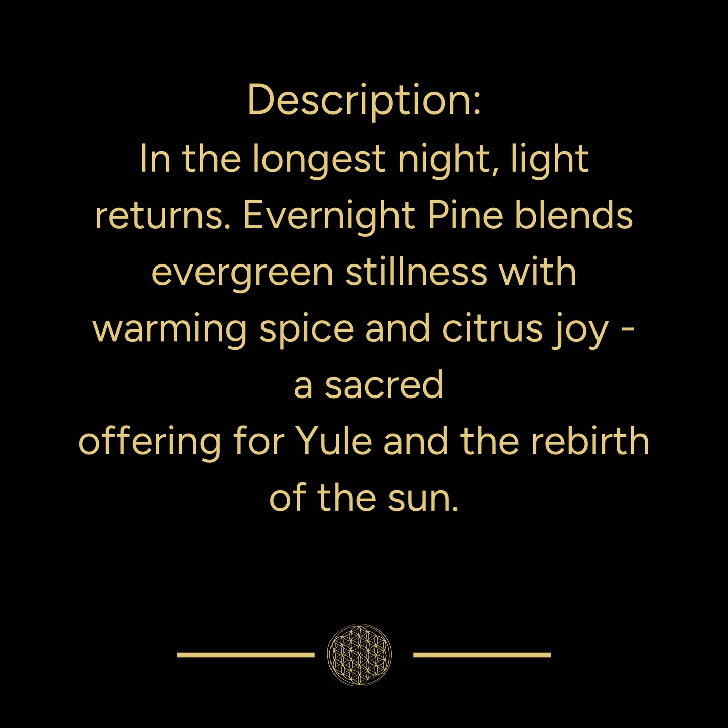 Evernight Pine Ritual Mist | Yule | 4oz