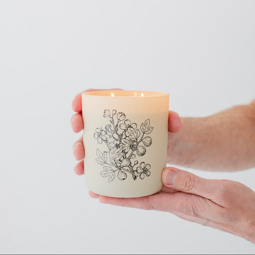 12oz Orchard Luxury Soy Candle