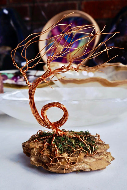 Windswept Bonsai Tree Copper Wire Tree On Ohko Dragon Stone