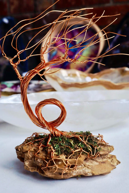 Windswept Bonsai Tree Copper Wire Tree On Ohko Dragon Stone