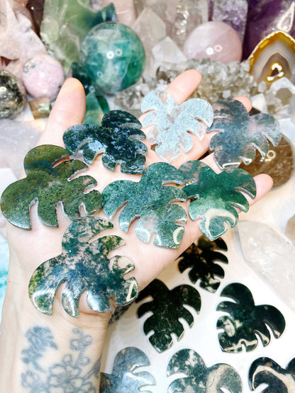 Moss Agate Monstera Leaf