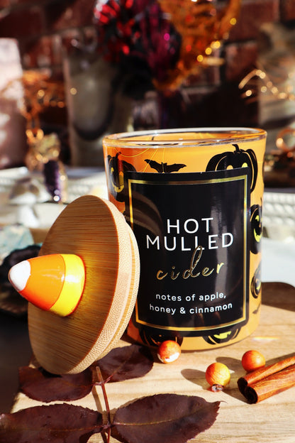 Seasonal Candle (10oz.) - Hot Mulled Cider