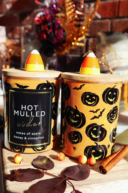 Seasonal Candle (10oz.) - Hot Mulled Cider